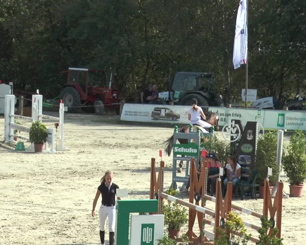Reitturnier Bad Rothenfelde 2016