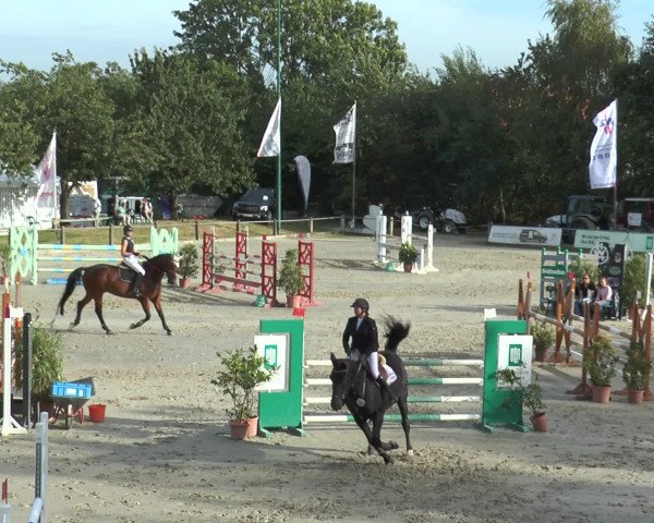 Reitturnier Bad Rothenfelde 2016