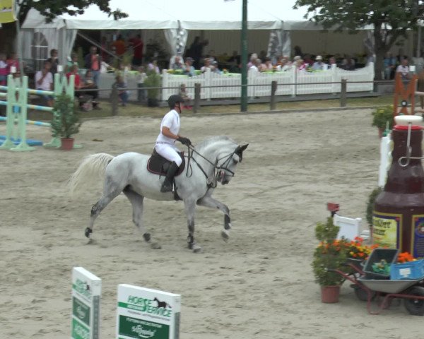 Reitturnier Bad Rothenfelde 2016