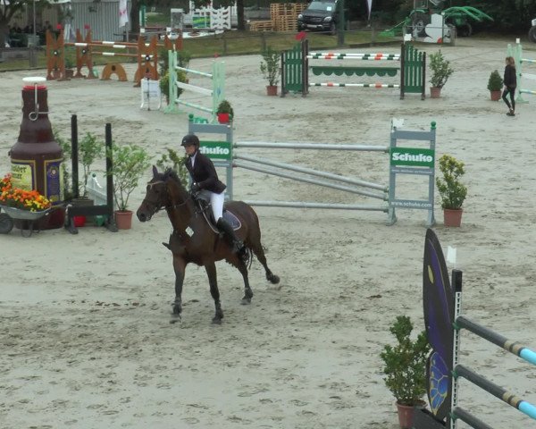 Reitturnier Bad Rothenfelde 2016
