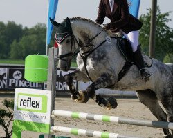 jumper Lilly Blue (Hanoverian, 2009, from Linton)