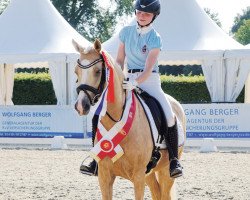 Zuchtstute Golden Diamond W (Deutsches Reitpony, 2013, von HET Golden Dream)