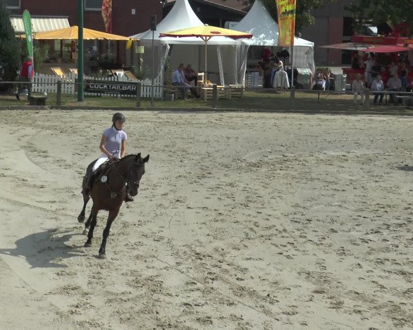 Reitturnier Bad Rothenfelde 2016