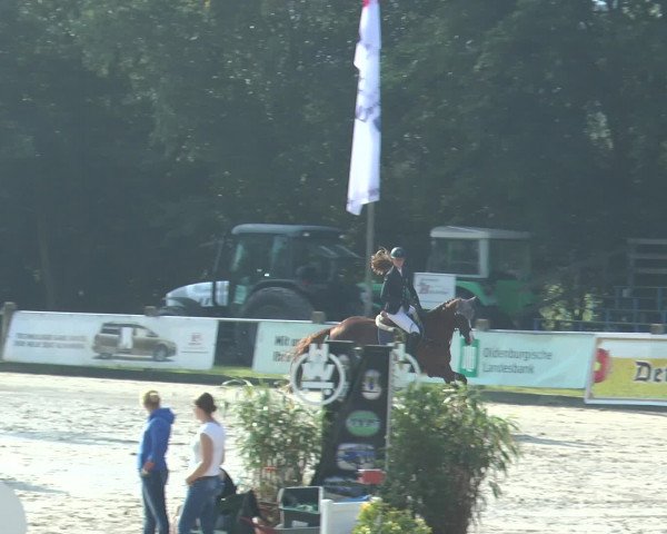 Reitturnier Bad Rothenfelde 2016