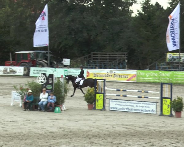 Reitturnier Bad Rothenfelde 2016