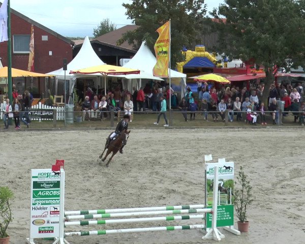 Reitturnier Bad Rothenfelde 2016