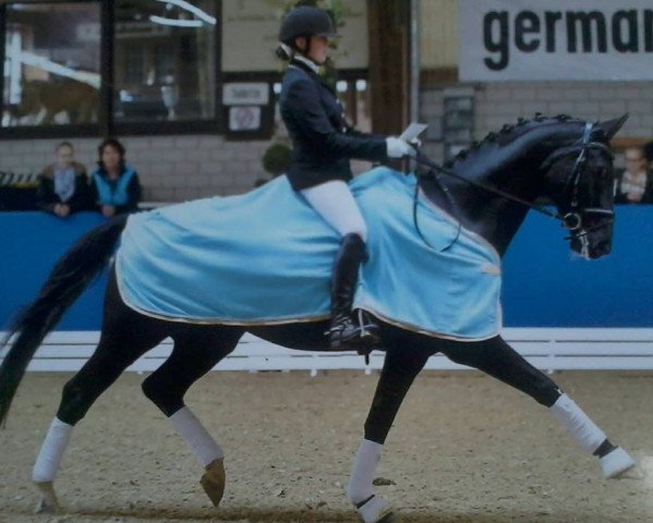 dressage horse Ragazzo Blu (Hanoverian, 2006, from Rascalino)