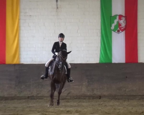 Kreisturnier des KPSV Neuss 2016