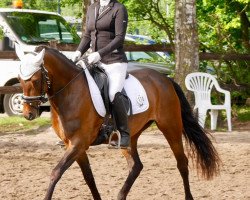 dressage horse Eikenhorst's Larissa (New Forest Pony, 2013, from Samba Boy)