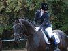 dressage horse Finest Dance 3 (German Sport Horse, 2015, from Finest)