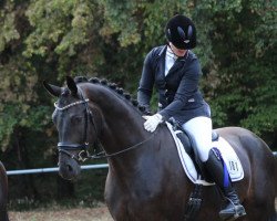 dressage horse Finest Dance 3 (German Sport Horse, 2015, from Finest)