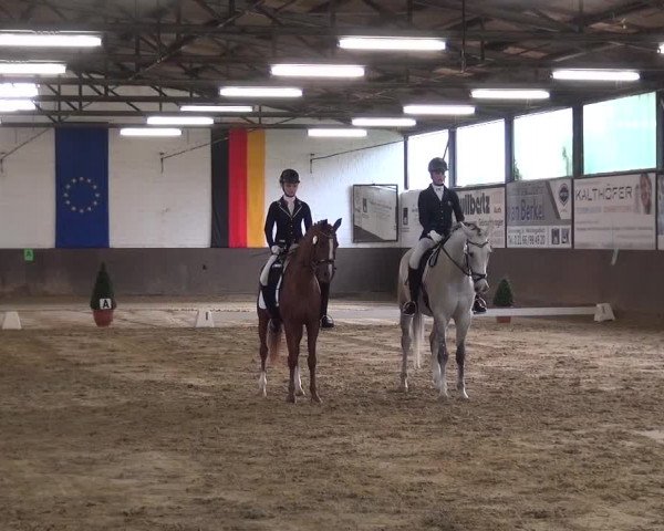 Kreisturnier des KPSV Neuss 2016