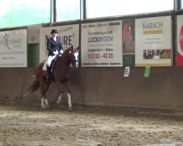 Kreisturnier des KPSV Neuss 2016