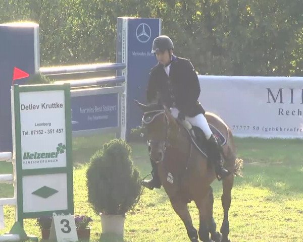 Leonberger Reiterspiele 2016