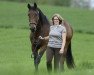 dressage horse Amerigo Grande (Trakehner, 2011, from Herbstbach)