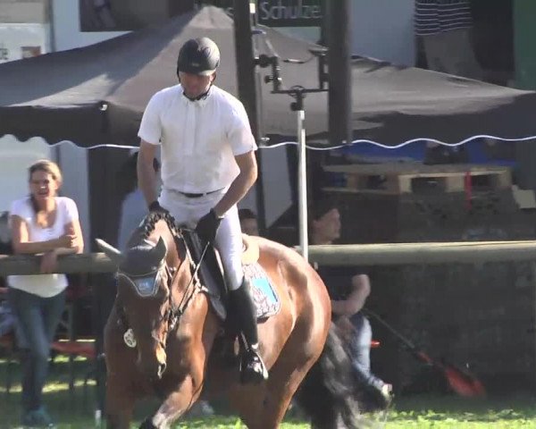 Leonberger Reiterspiele 2016