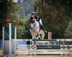 jumper Navidenjo (German Riding Pony, 2003, from Naravant)