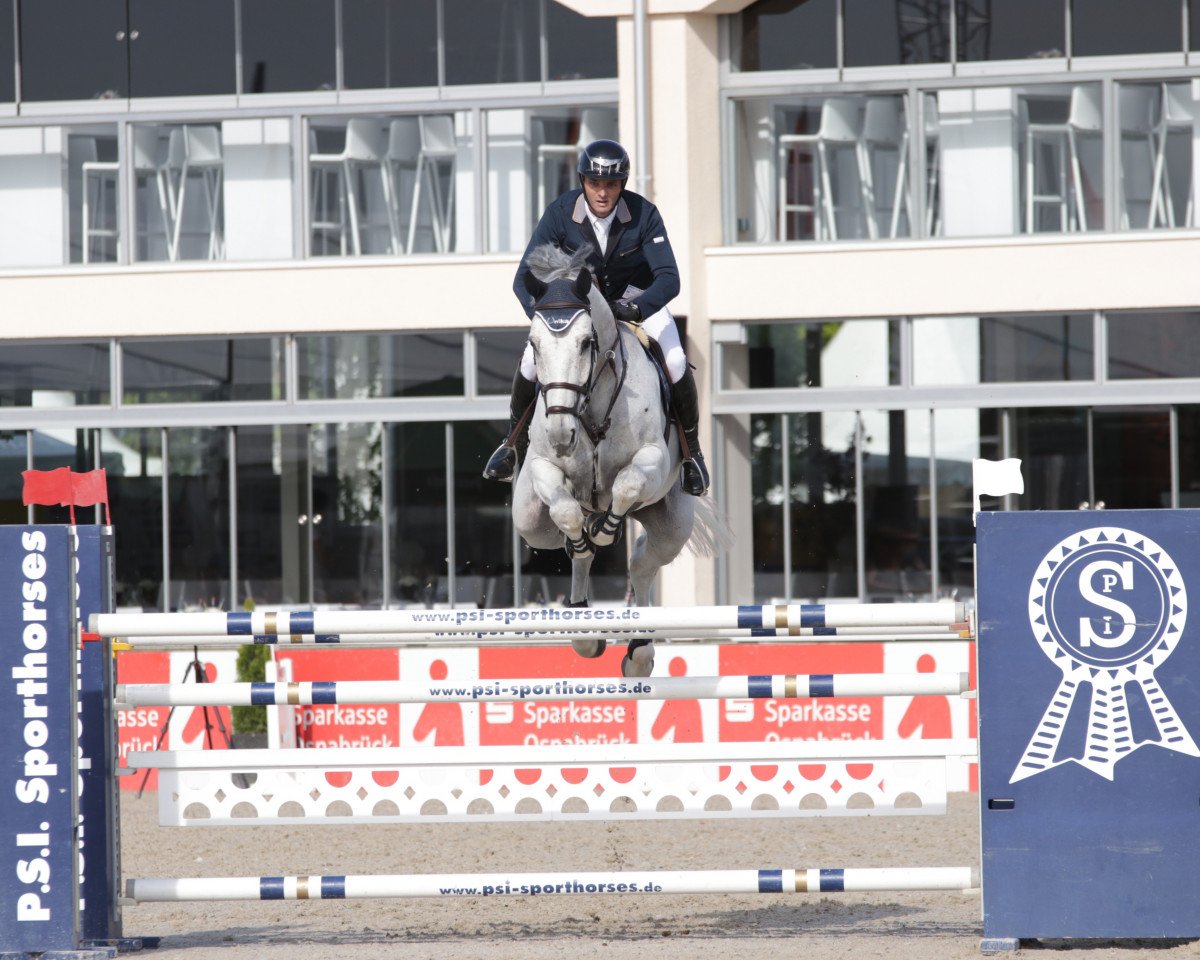 Springpferd Jazoe Van 't Steenpaal (Belgisches Warmblut, 2009, von Cornet's Stern)