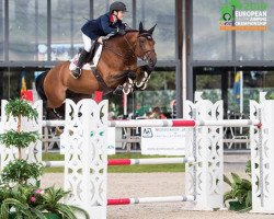 Springpferd Jimmy Mack V Berkenbroeck (Belgisches Warmblut, 2009, von Quorum de Laubry)