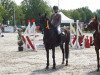 jumper Calvin 108 (German Riding Pony, 2009, from Kantje's Carlando)