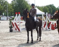 Springpferd Calvin 108 (Deutsches Reitpony, 2009, von Kantje's Carlando)