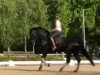 dressage horse Lord Lou 3 (Bavarian, 2013, from Lord Leopold 7)