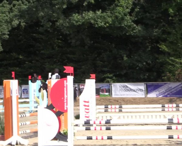 Reitturnier Meinerzhagen 2016