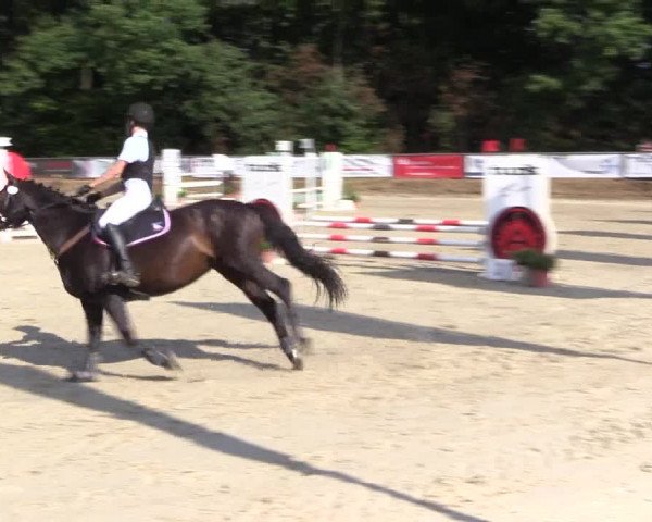 Reitturnier Meinerzhagen 2016