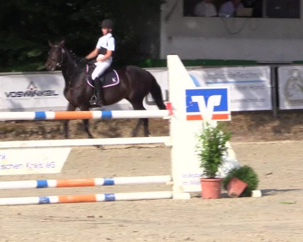 Reitturnier Meinerzhagen 2016