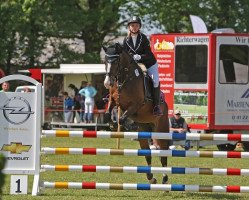 broodmare Ranke-Linn (German Riding Pony, 2010, from Gasparo N)