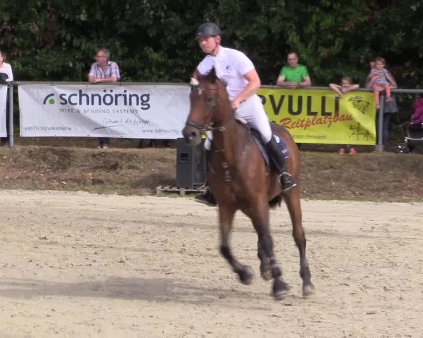 Reitturnier Meinerzhagen 2016