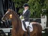 dressage horse Humphrey 64 (Hanoverian, 2012, from Hochadel)