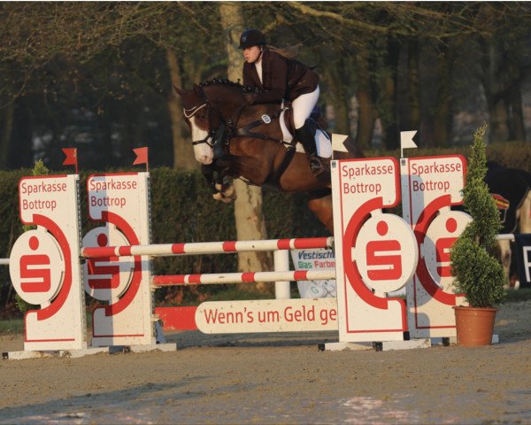 jumper Everything is possible 2 (Hanoverian, 2014, from Ehrenwort)