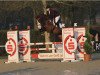 jumper Everything is possible 2 (Hanoverian, 2014, from Ehrenwort)