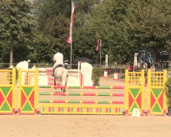 Reitturnier Appelhülsen 2016