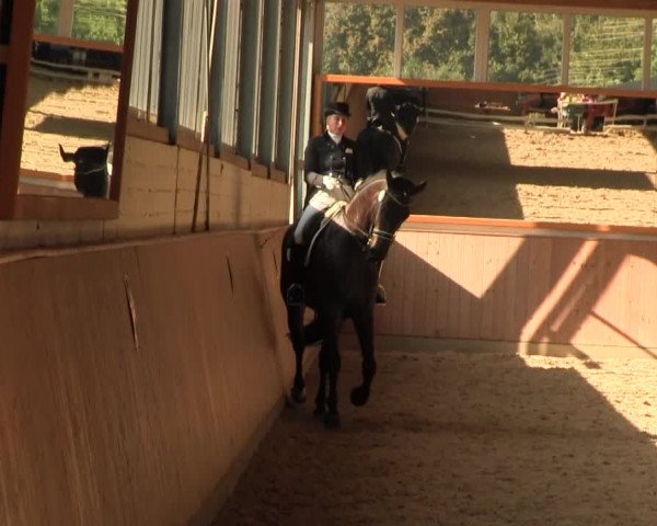 Reitturnier Gut Hohenkamp / Dorsten 2016