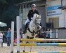 jumper Flamme 158 (Welsh-Pony (Section B), 2002, from Rock Grey Tycoon)