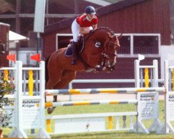 dressage horse Caressino (Holsteiner, 2007, from Caretino)