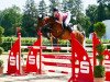 jumper Engel 12 (German Warmblood, 2012, from Cantoblanco)