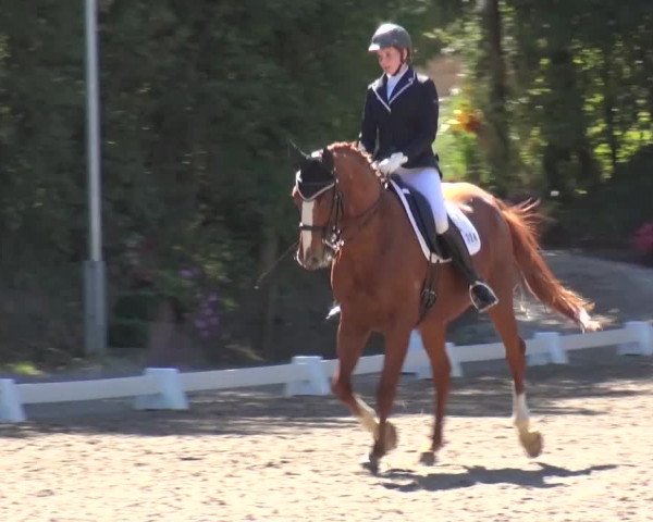 Reitturnier Würselen-Pley 2016