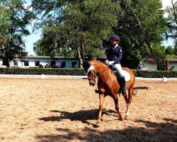 dressage horse Bexxi (German Riding Pony, 2007, from Burlington S)