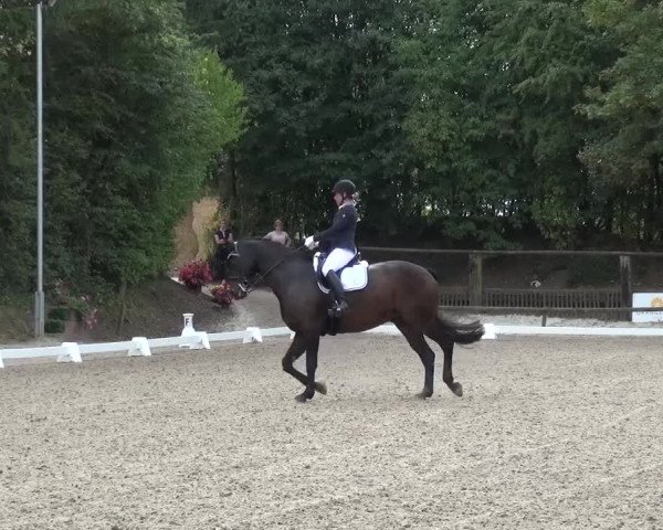 Reitturnier Würselen-Pley 2016