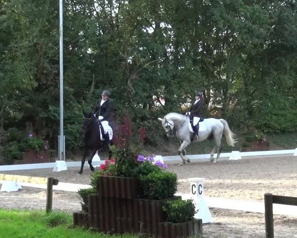 Reitturnier Würselen-Pley 2016