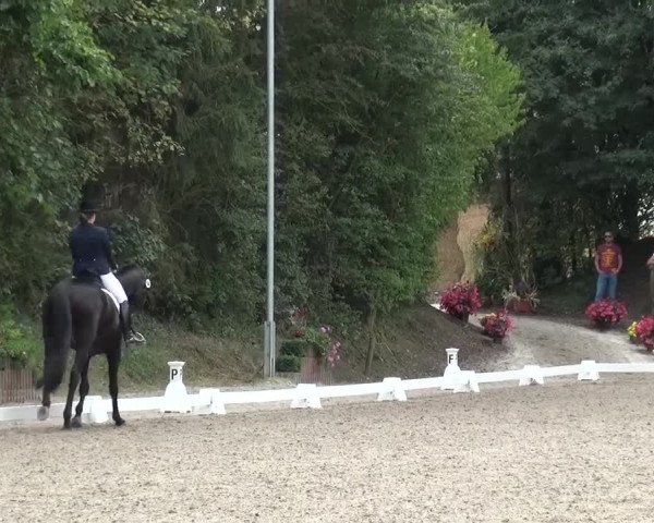 Reitturnier Würselen-Pley 2016