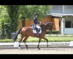 dressage horse FS Do Magic (German Riding Pony, 2000, from FS Don't Worry)