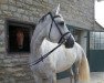 broodmare Cortina 204 (Westphalian, 2005, from Cornet Obolensky)