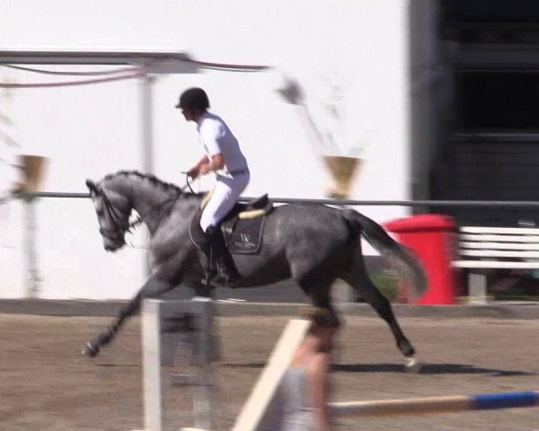 Reitturnier Siegen 2016