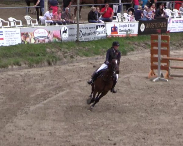 Reitturnier Siegen 2016