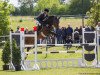 jumper Ever So Easy (Hanoverian, 2010, from El Bundy)