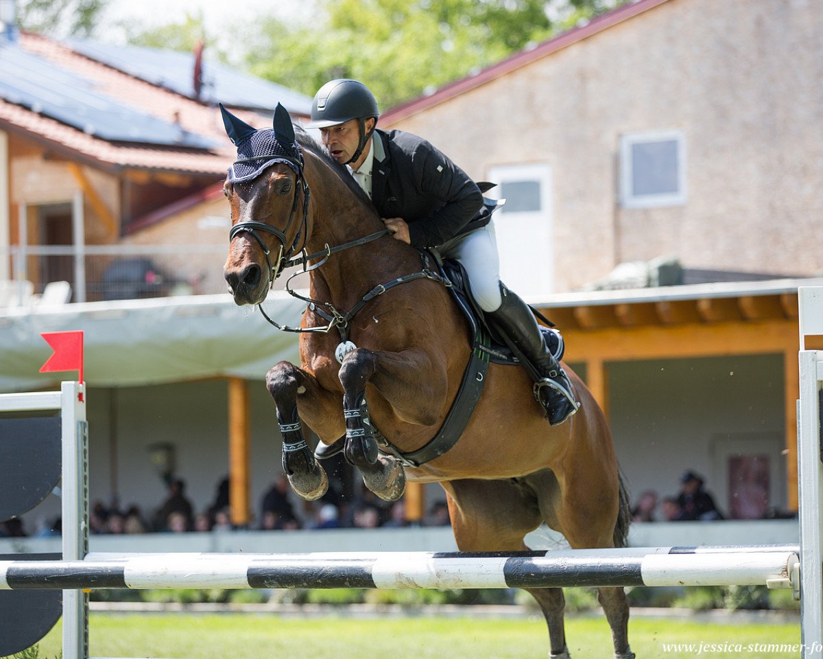 jumper Sweet Sophie 2 (Bavarian, 2006, from Gambrinus)